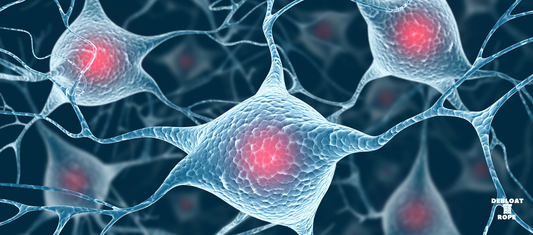 Jump Rope & Brain Health