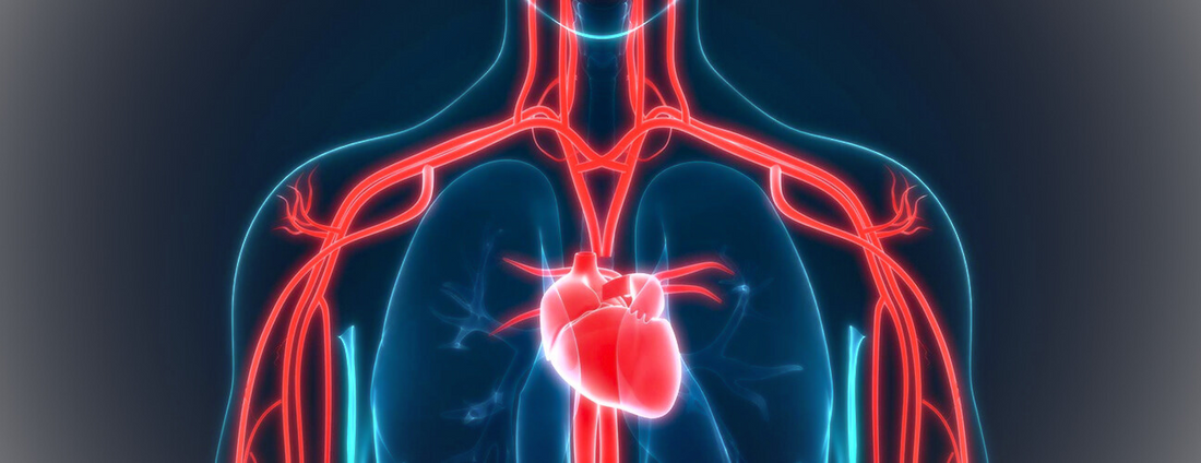 Jump Rope: Heart Health Ally