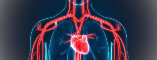 Jump Rope: Heart Health Ally
